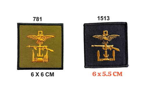 Joint force combined - joint, ops